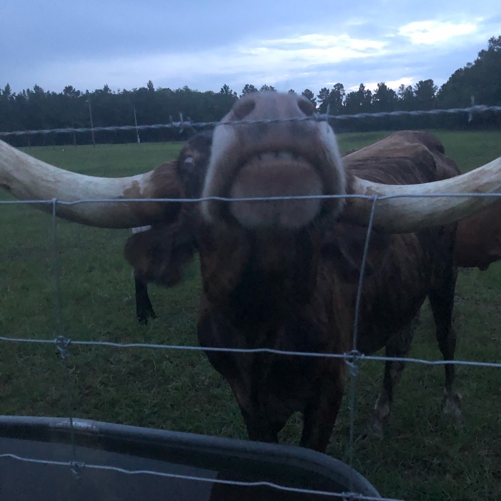 Meet your Posher, Hollie